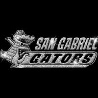 GLT102 SILVER GLITTER Thumbnail